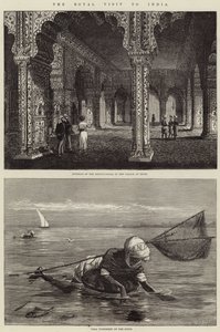 Det kongelige besøket i India